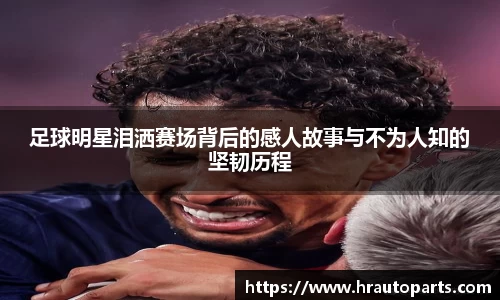 南宫28NG相信品牌力量